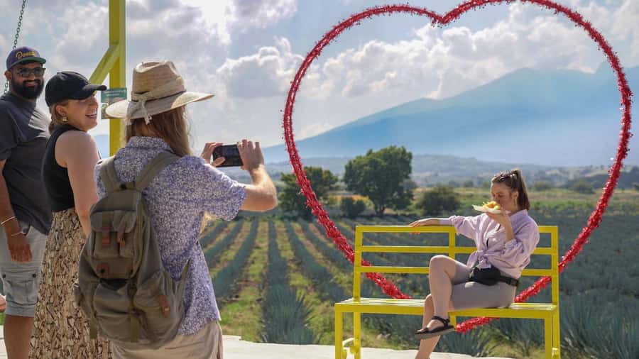Classic Tequila Route Tour from Guadalajara and cantaritos el GÜERO!!! - The drive out of Guadalajara: scenic agave fields and the first photo stop