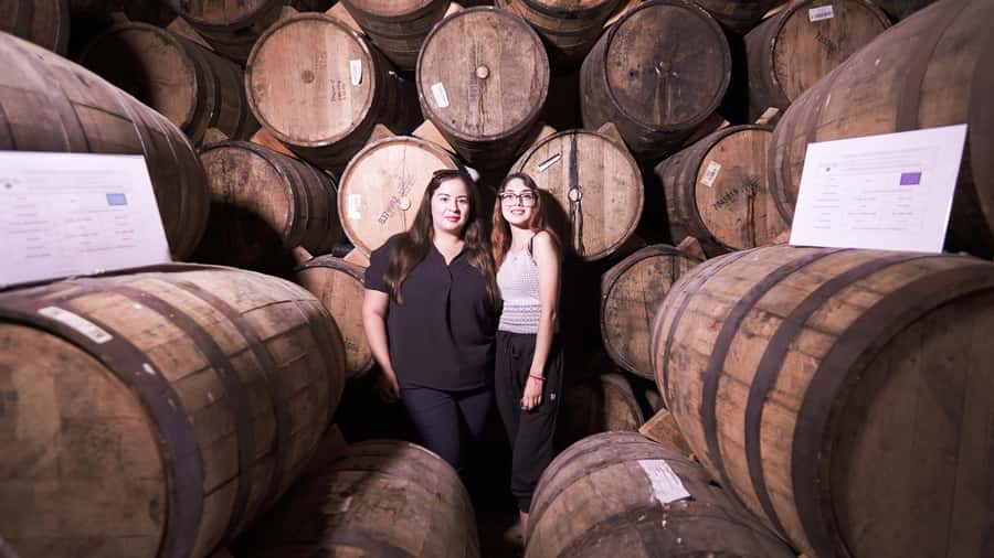 Classic Tequila Route Tour from Guadalajara and cantaritos el GÜERO!!! - Tequila town stop: colonial streets, shopping, and a dance show