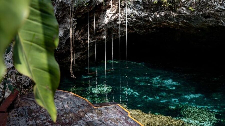 Coba, Tulum, Cenote & Lunch ECO Full Day from Rivera - The Mayan Honey and Cocoa Demonstration: Food Culture You Can Use at Home