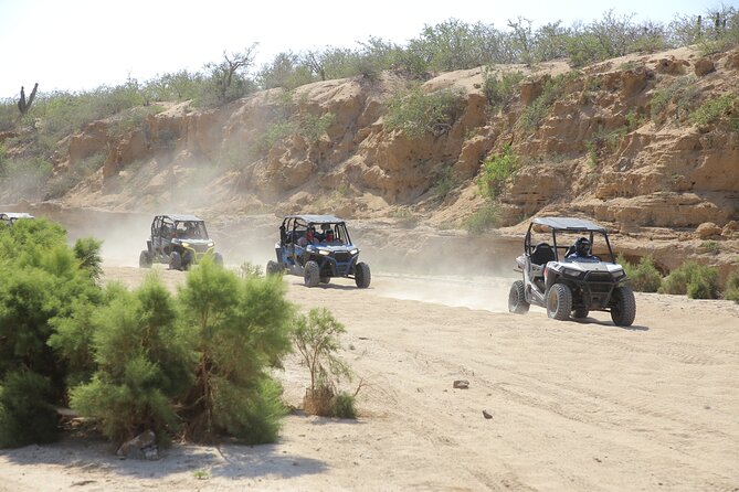 Combo Off Road 4x4 UTV Camel Ride Lunch and Tequila Tasting - Key Highlights Worth Packing For