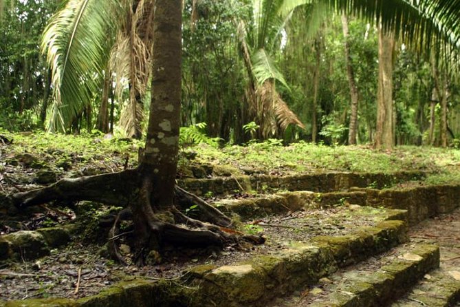 Costa Maya Shore Excursion: Chacchoben Day Trip - Getting There From Casa Maya Port Without Losing Time