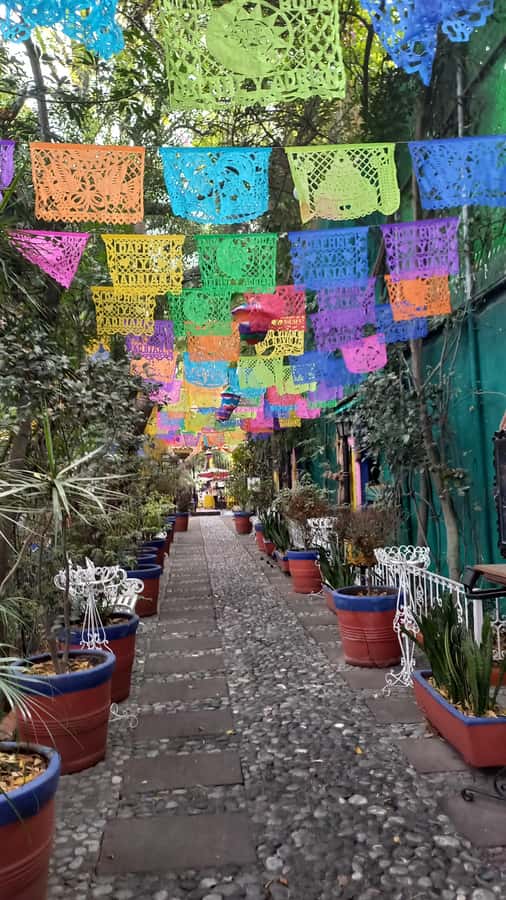 Coyoacán: History and Life of a Magical Neighborhood - Key highlights you should care about
