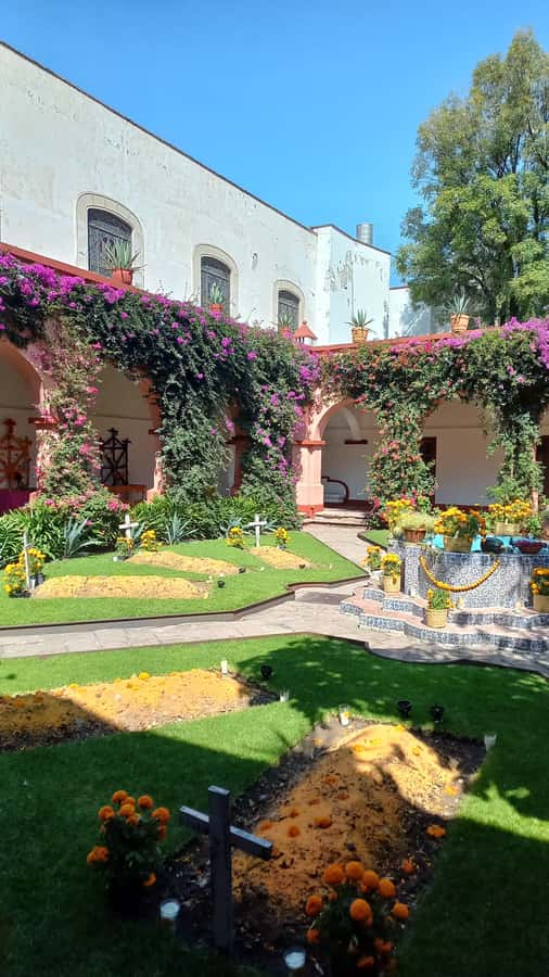 Coyoacán: History and Life of a Magical Neighborhood - Coyoacán in 150 minutes, the neighborhood behind the postcard look