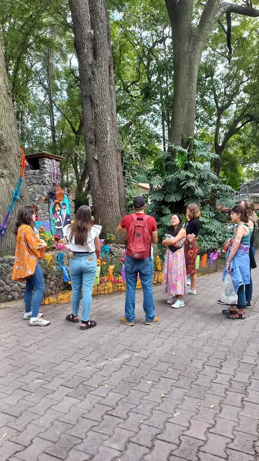 Coyoacán: History and Life of a Magical Neighborhood - Santa Catarina squares and the charm of the back alleys