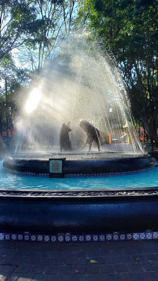 Coyoacán: History and Life of a Magical Neighborhood - Plaza de la Conchita and the story behind old buildings