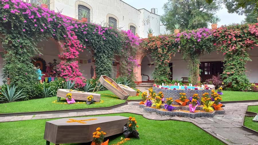 Coyoacán: History and Life of a Magical Neighborhood - Mercado de Coyoacán, where the walk ends and the day continues