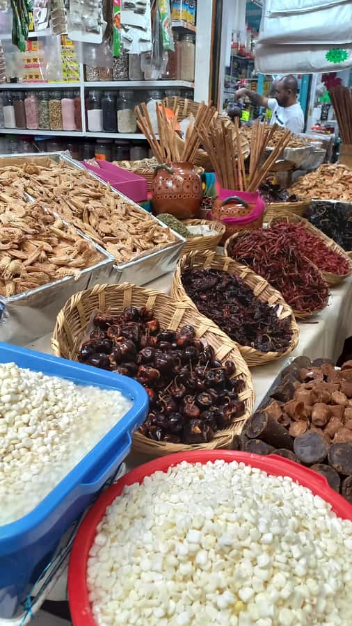 Coyoacán: History and Life of a Magical Neighborhood - Getting oriented at El Olvidado and the first walking stretch