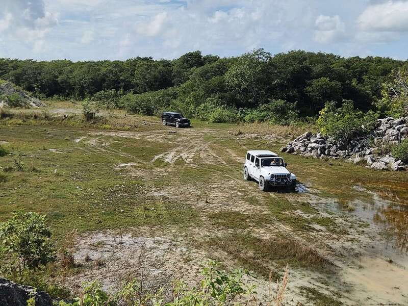 Cozumel: 5-Hour Private Caves and Ruins Tour with Lunch - Pickup and private transport from Cozumel piers, hotels, and Airbnb