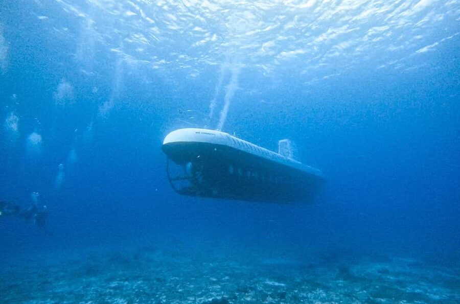 Cozumel: Atlantis Submarine Adventure - Key Points Before You Go
