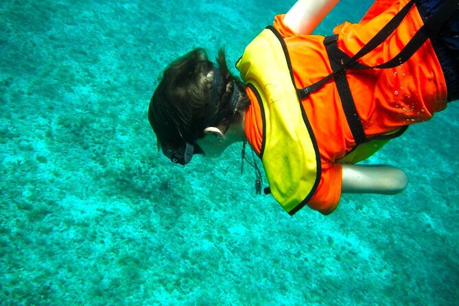 Cozumel Buggy Tour: Snorkeling , Otoch Mayan Experience & Lunch - The island drive, El Cedral Maya ruins, and the photo-stops that make it feel like an adventure