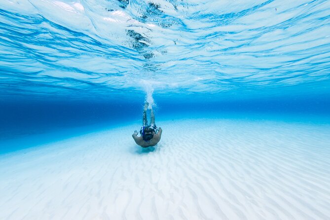 Cozumel Catamaran Snorkeling Tour & lunch - Catamaran sailing and two very different reef vibes
