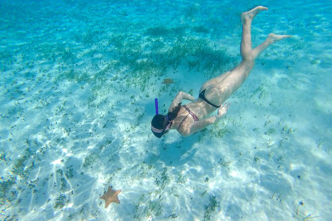 Cozumel Catamaran Snorkeling Tour & lunch - Palancar Reef with a PADI guide: getting the best view from drift snorkeling
