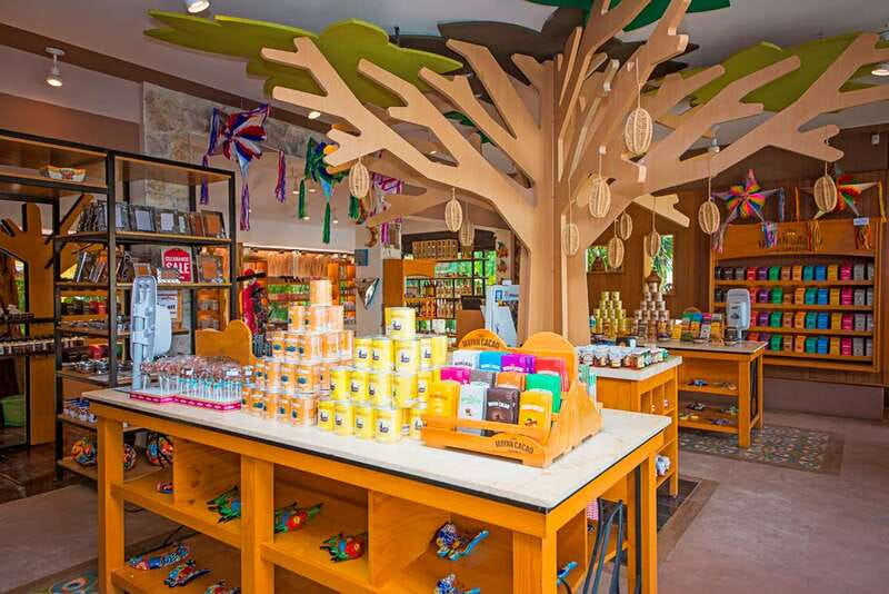 Cozumel: Chocolate Workshop at The Mayan Cacao Company - Who This Cozumel Chocolate Workshop Is Best For