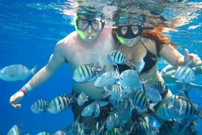 Cozumel Coral Reef Snorkeling by Glass Bottom Boat with Guide - Gear, water comfort, and safety habits you’ll feel