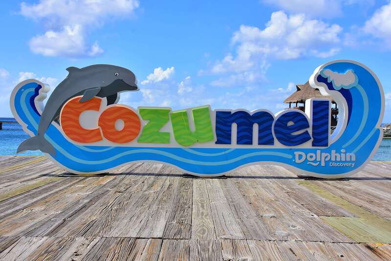 Cozumel: Dolphin Royal Connection and Manatee Interaction - Key things to know before you go