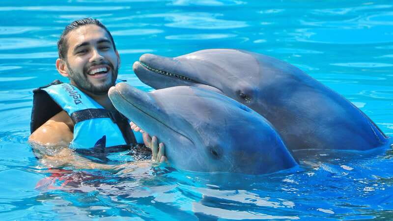 Cozumel: Dolphin Royal Connection and Manatee Interaction - Royal Swim and manatees at Chankanaab, what you are really buying