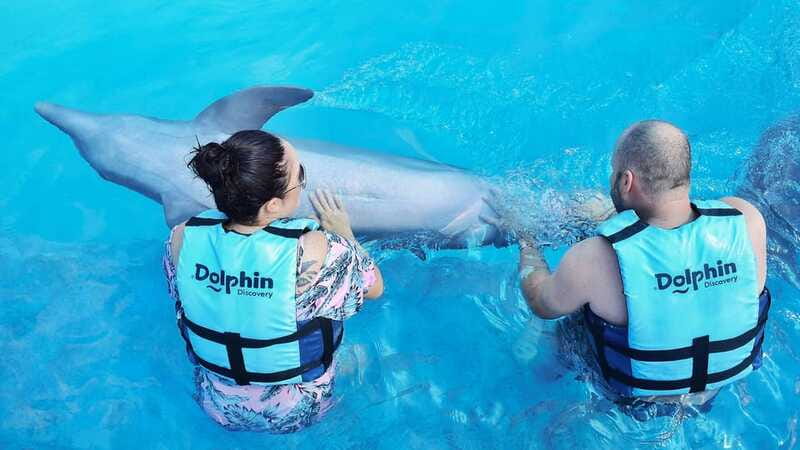 Cozumel: Dolphin Royal Connection and Manatee Interaction - Rules that can affect your comfort: height, sunscreen, cameras, and safety