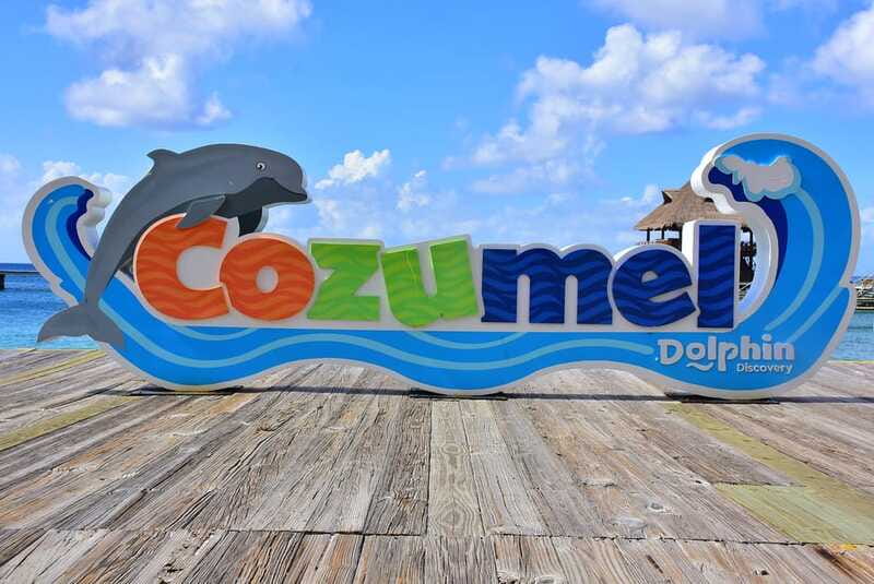Cozumel: Dolphin Royal Connection and Manatee Interaction - Timing, group size, and how to avoid a rushed feeling