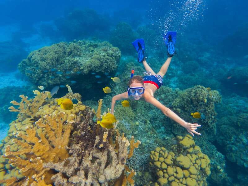 Cozumel: El Cielo, Palancar Reef, and Beach Party with Food - Key things I’d pencil into your day