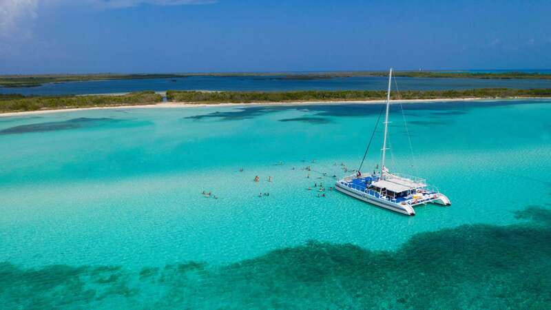 Cozumel: El Cielo, Palancar Reef, and Beach Party with Food - Why this Cozumel combo works: reef plus starfish sandbar