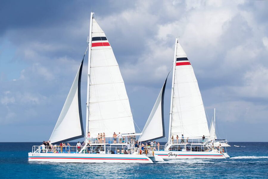 Cozumel: El Cielo, Palancar Reef, and Beach Party with Food - El Cielo sandbar: shallow water, starfish time, and gentle swimming