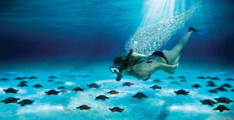 Cozumel: El Cielo & Palancar Snorkel with Open Bar & Ceviche - Key things I’d pay attention to