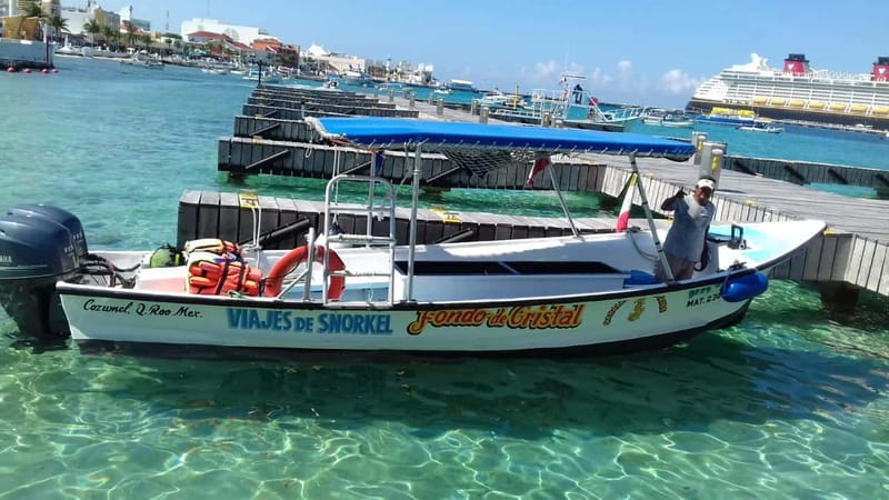 Cozumel: El Cielo & Palancar Snorkel with Open Bar & Ceviche - El Cielo: shallow-water snorkeling where starfish are part of the plan