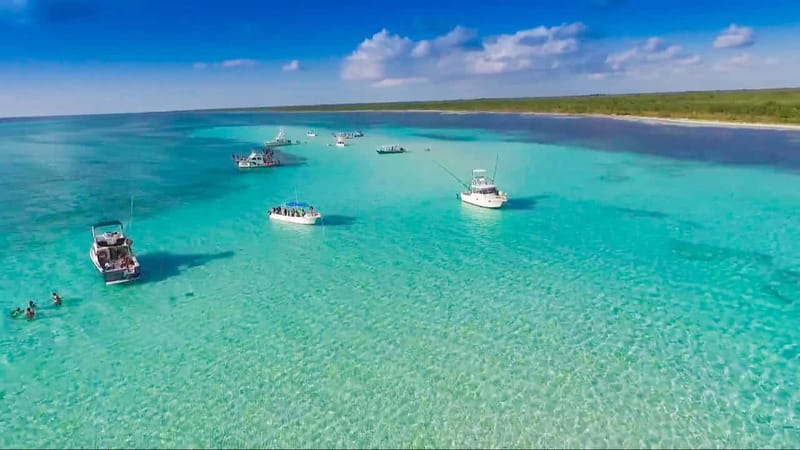 Cozumel: El Cielo & Palancar Snorkel with Open Bar & Ceviche - Palancar Reef: coral, rays, turtles, and the Caribbean in close detail
