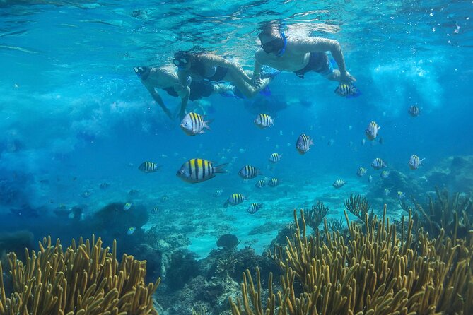 Cozumel Luxury Sailing & Snorkeling with Lunch and Open Bar Onboard - Lunch, cocktails, and the onboard vibe you should expect