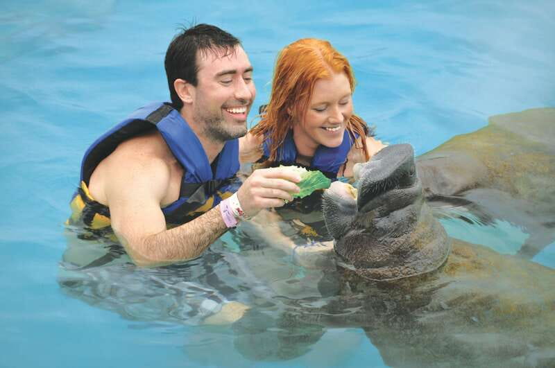 Cozumel: Manatee Encounter, Chankanaab Admission and Buffet - Why Chankanaab Manatees Feel More Personal Than a Quick Photo Op