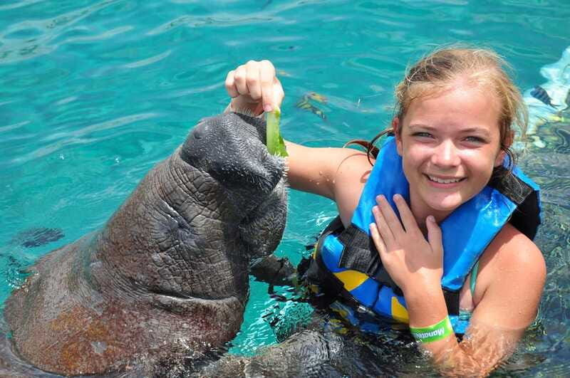 Cozumel: Manatee Encounter, Chankanaab Admission and Buffet - Should You Book Cozumel: Manatee Encounter and Chankanaab Admission?
