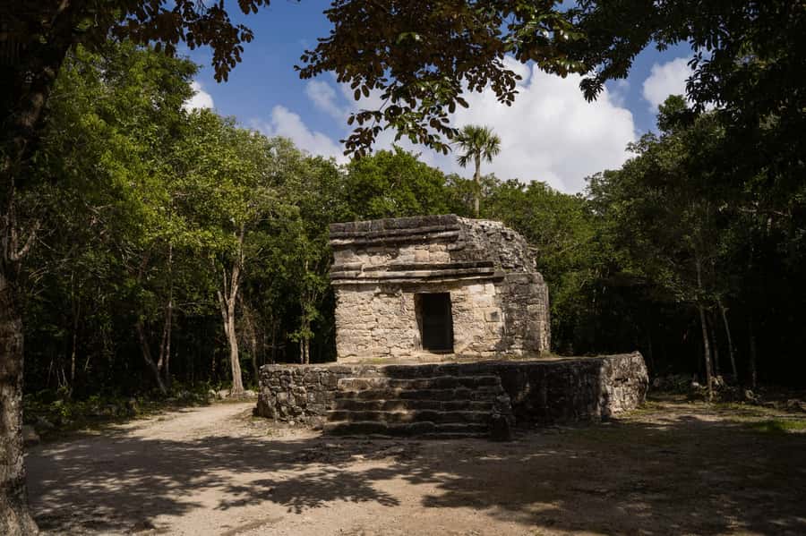 Cozumel: Mayan Ruins Guided Tour with Snorkeling & Lunch - San Gervasio ruins at a pace that fits a cruise day