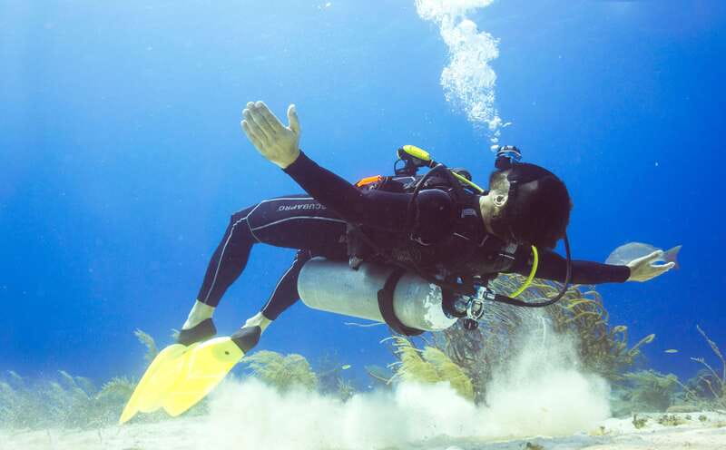Cozumel: One Tank Scuba Dive and Full Chankanaab Park Access - Why Chankanaab makes sense for your first Cozumel scuba session
