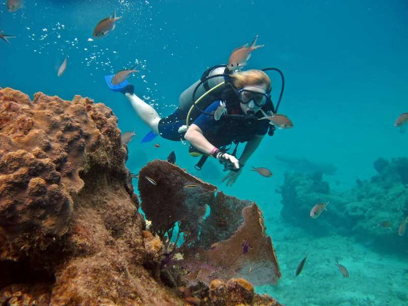 Cozumel: One Tank Scuba Dive and Full Chankanaab Park Access - Getting there and meeting MJ’s staff without stress