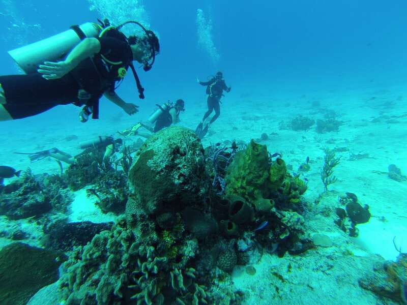 Cozumel: One Tank Scuba Dive and Full Chankanaab Park Access - The park after your water time: beach mode with real amenities