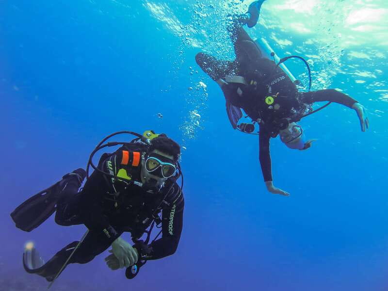 Cozumel: One Tank Scuba Dive and Full Chankanaab Park Access - Who should book this (and who might not love it)
