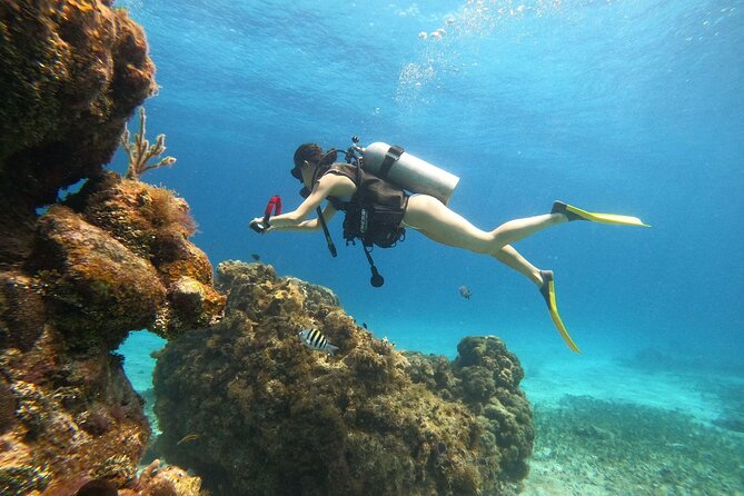 Cozumel Scuba Dive at Chankanaab - The 2-Hour Flow: What Happens From Check-In to Back on Land