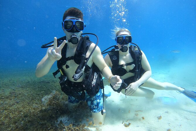 Cozumel Scuba Dive at Chankanaab - Underwater Caves and Sculpture Stops (Yes, You Might See Statues)