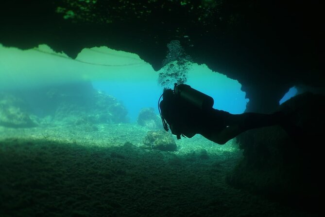 Cozumel Scuba Dive at Chankanaab - After the Water: The Free Drink, Beach Loungers, and How to Use Your Time