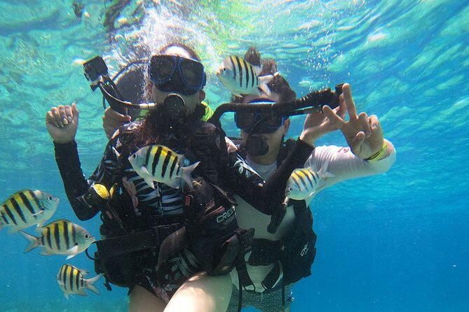 Cozumel Scuba Dive at Chankanaab - Price and Value: $85 Is Only Part of the Total