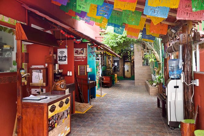 Cozumel Shore Excursion: 5-Hour Sightseeing Tour with Private Driver - Tequila Tour at Mi Mexico Lindo: Agave, Tastings, and Honey Drinks for Kids