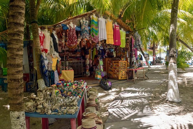 Cozumel Shore Excursion: 5-Hour Sightseeing Tour with Private Driver - El Mirador and Playa Palancar: East-Coast Views and Beach Club Time