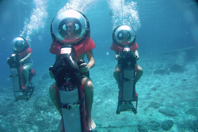 Cozumel Shore Excursion: Mini-SUB Diving Adventure - The marine life you can realistically spot, plus the hands-on moments
