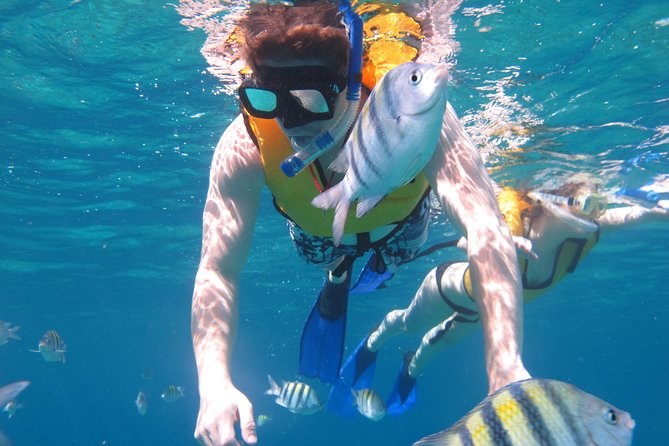 Cozumel Shore Excursion: Playa Uvas Private Beach Pass - Food and the open bar, how lunch fits a real beach schedule