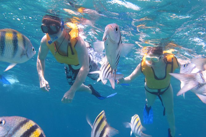 Cozumel Shore Excursion: Playa Uvas Private Beach Pass - Chankanaab National Marine Park access, how to use it wisely