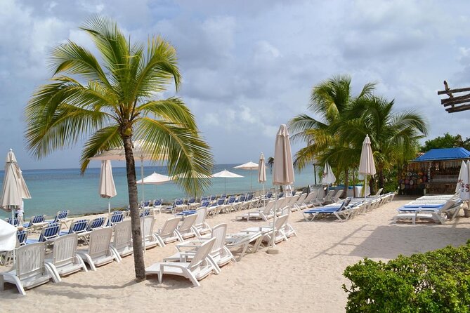 Cozumel Shore Excursion: Playa Uvas Private Beach Pass - Timing and logistics, how the day usually flows