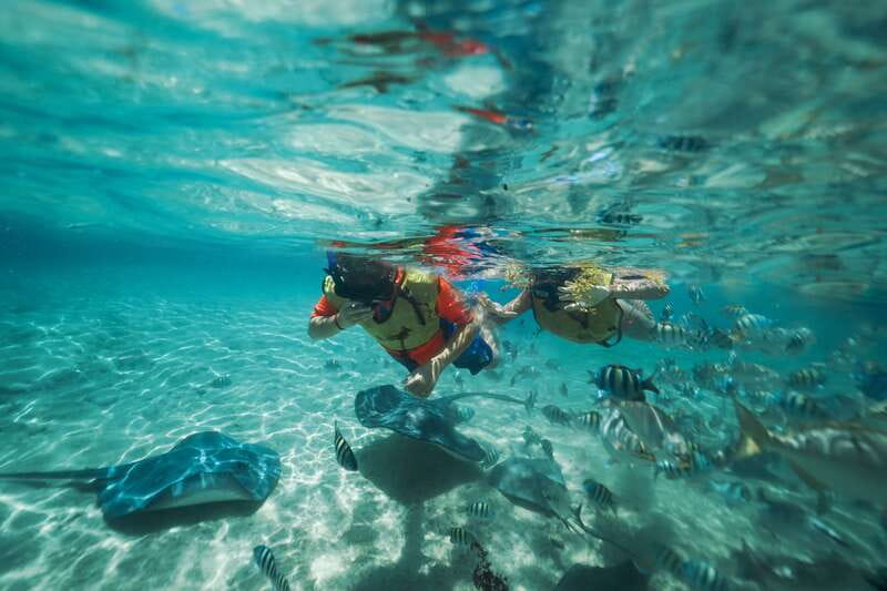Cozumel: Snorkel and Swim with Stingrays - Cozumel Stingray Beach: The Setting and Why It Works