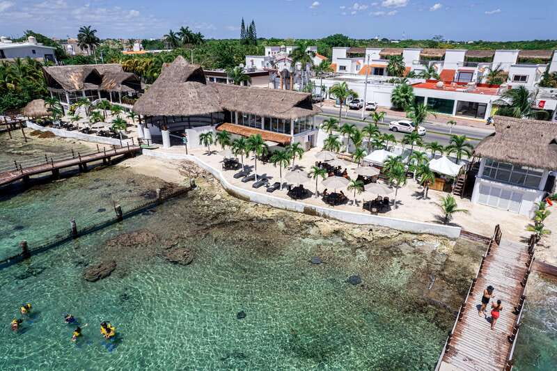 Cozumel: Snorkel and Swim with Stingrays - Waist-Deep Ray Swim: How the 30 Minutes Feels