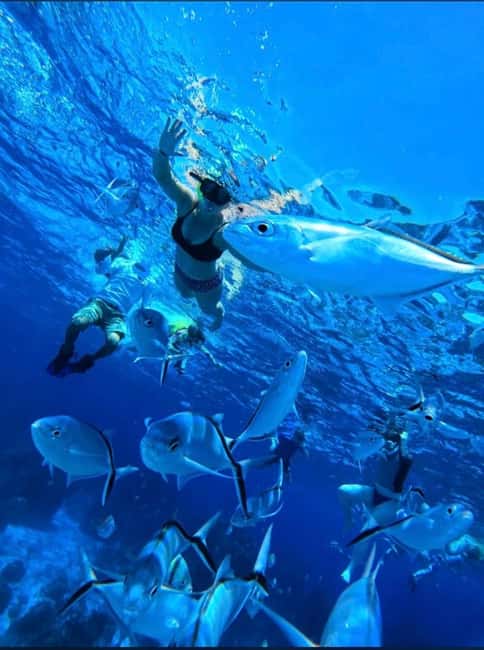 Cozumel: snorkeling on reefs + visit to "El Cielo" - Key things to know before you go