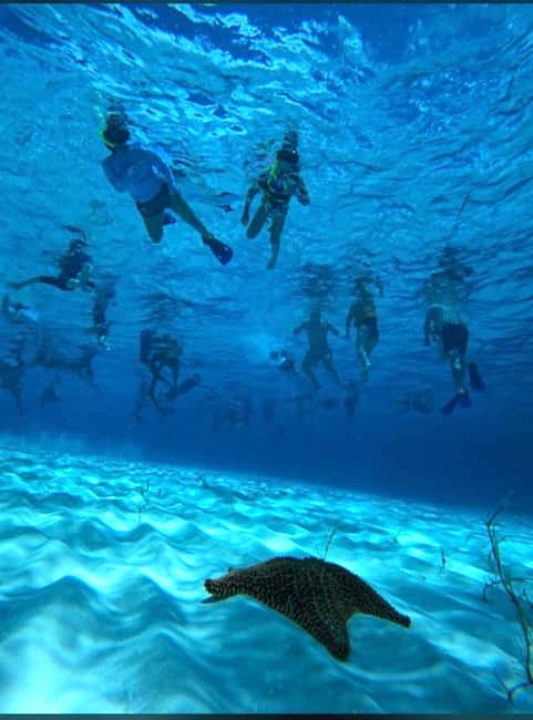 Cozumel: snorkeling on reefs + visit to "El Cielo" - Palancar and Columbia reefs: the real reason people come to Cozumel
